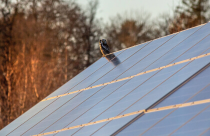 Solar Energy